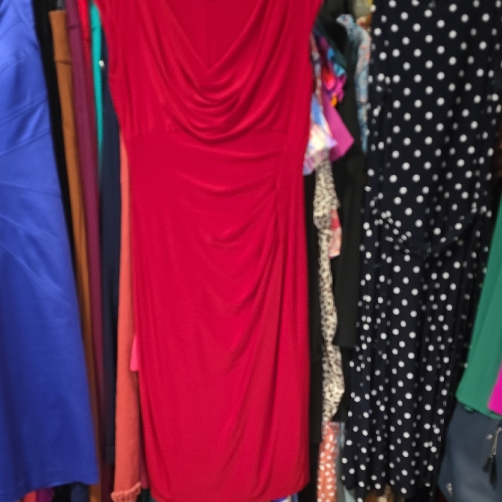 Elegant Red Women's Dress